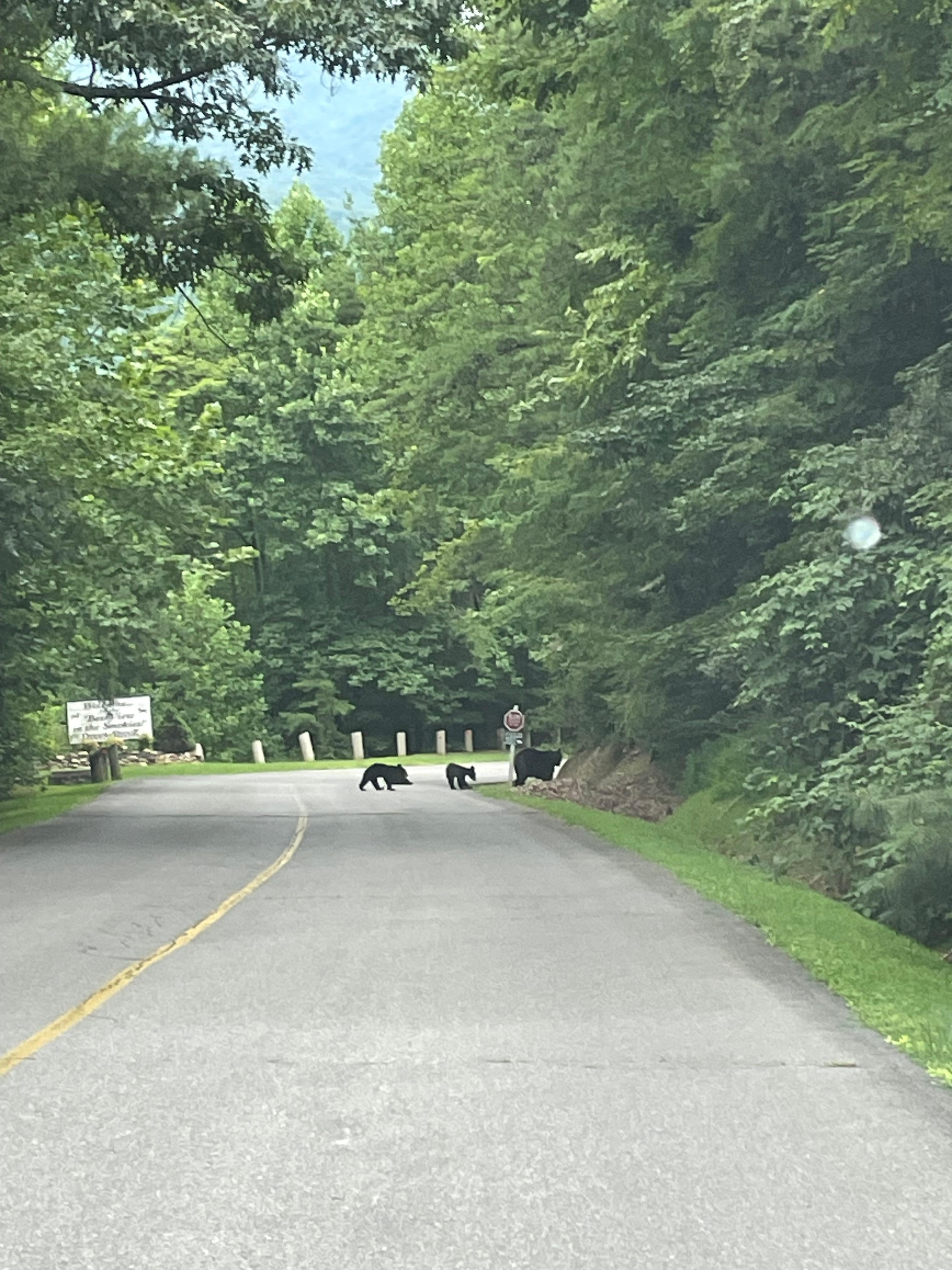 The welcoming committee ; )