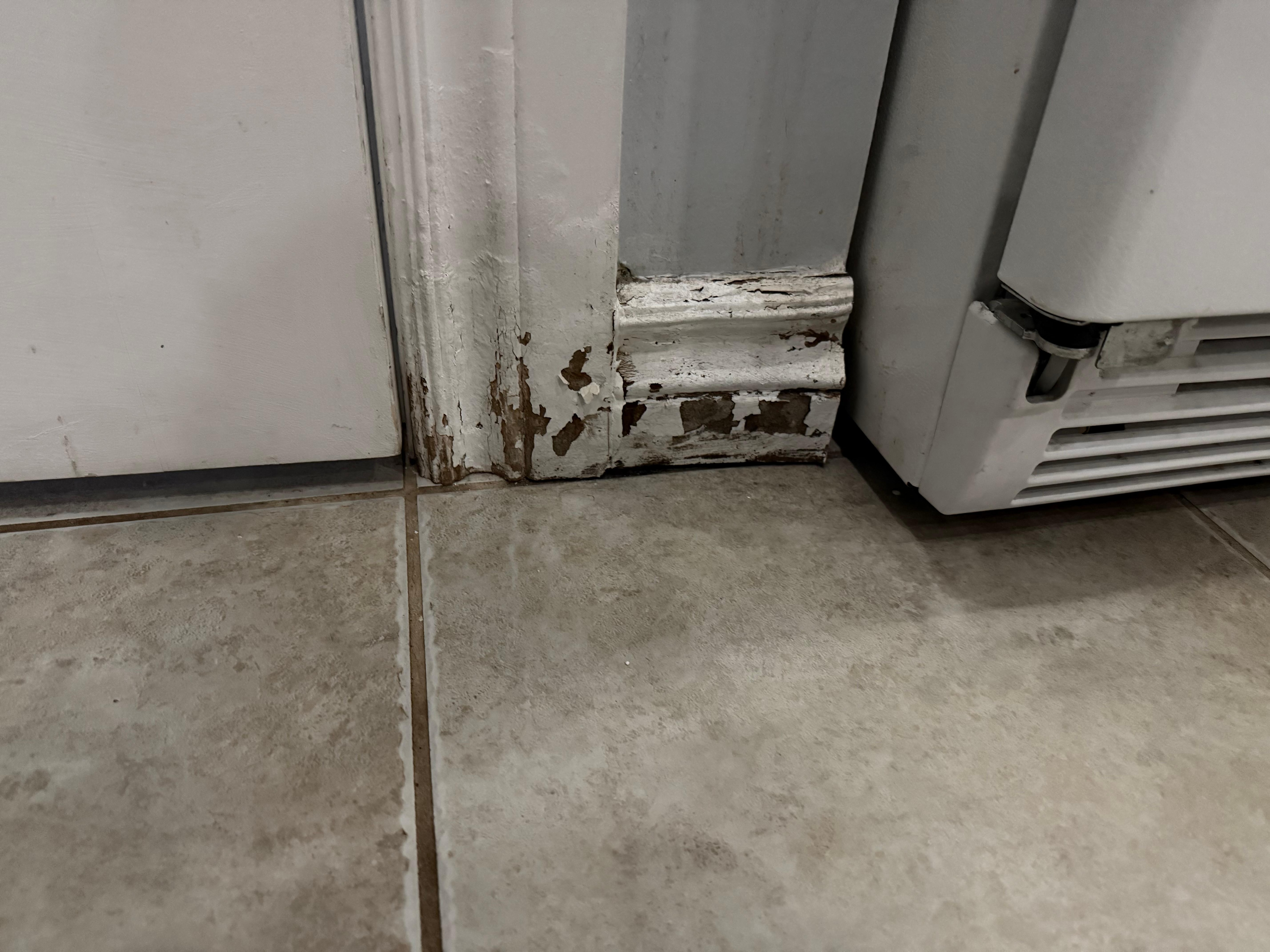 Example of what the whole home looks like