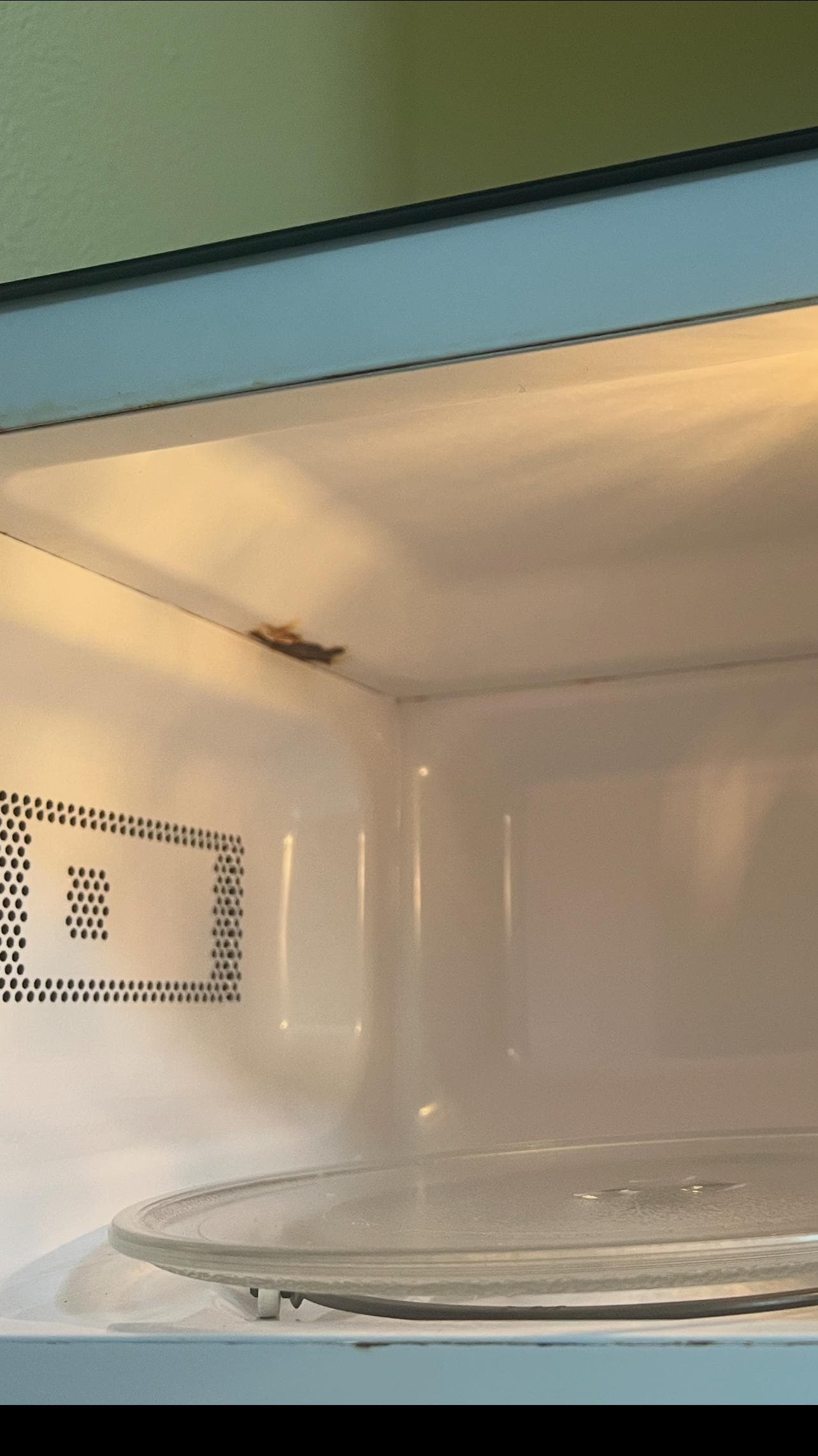 This microwave is rusty inside and not in a good shape to heat the food. Charged very high price but providing least facility to the customers. So bad in shape.