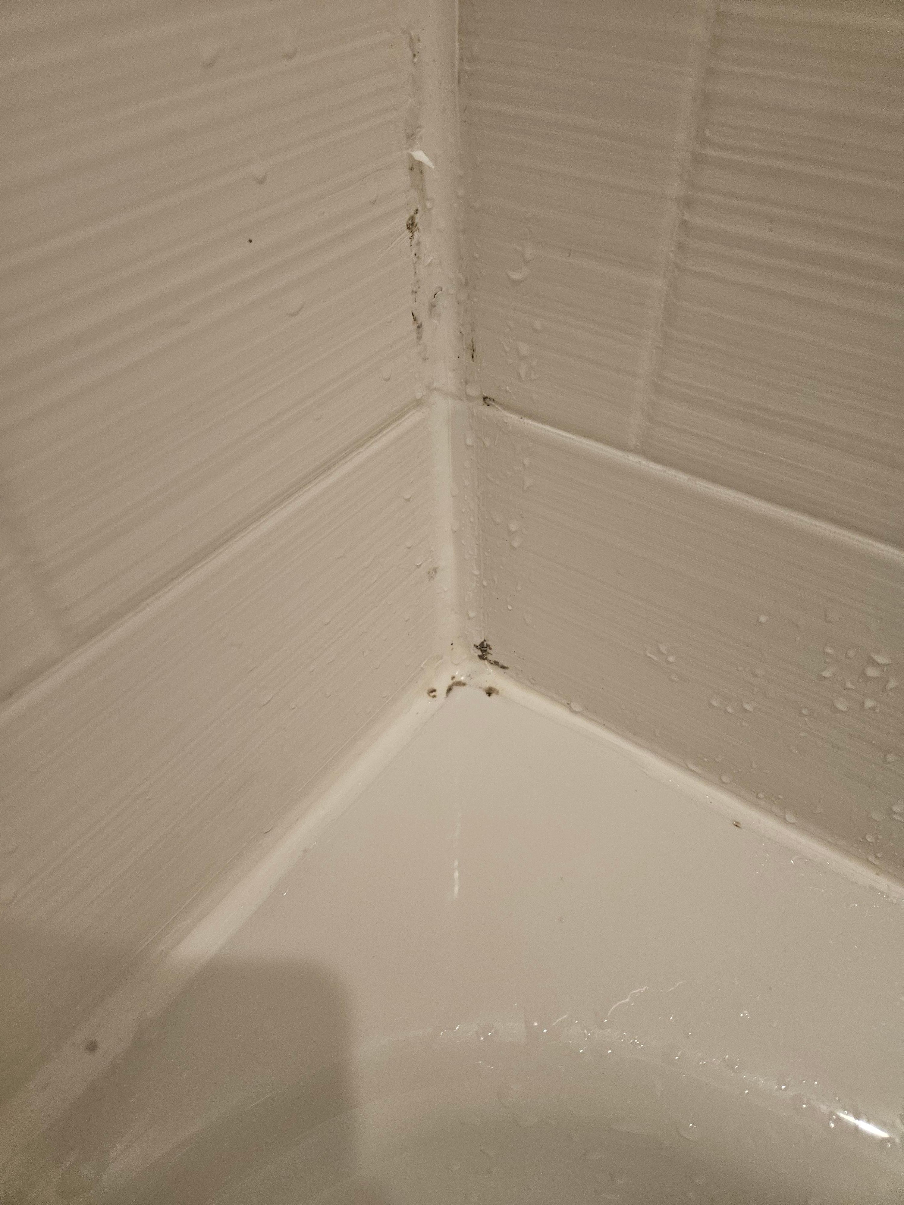 Bathroom mold