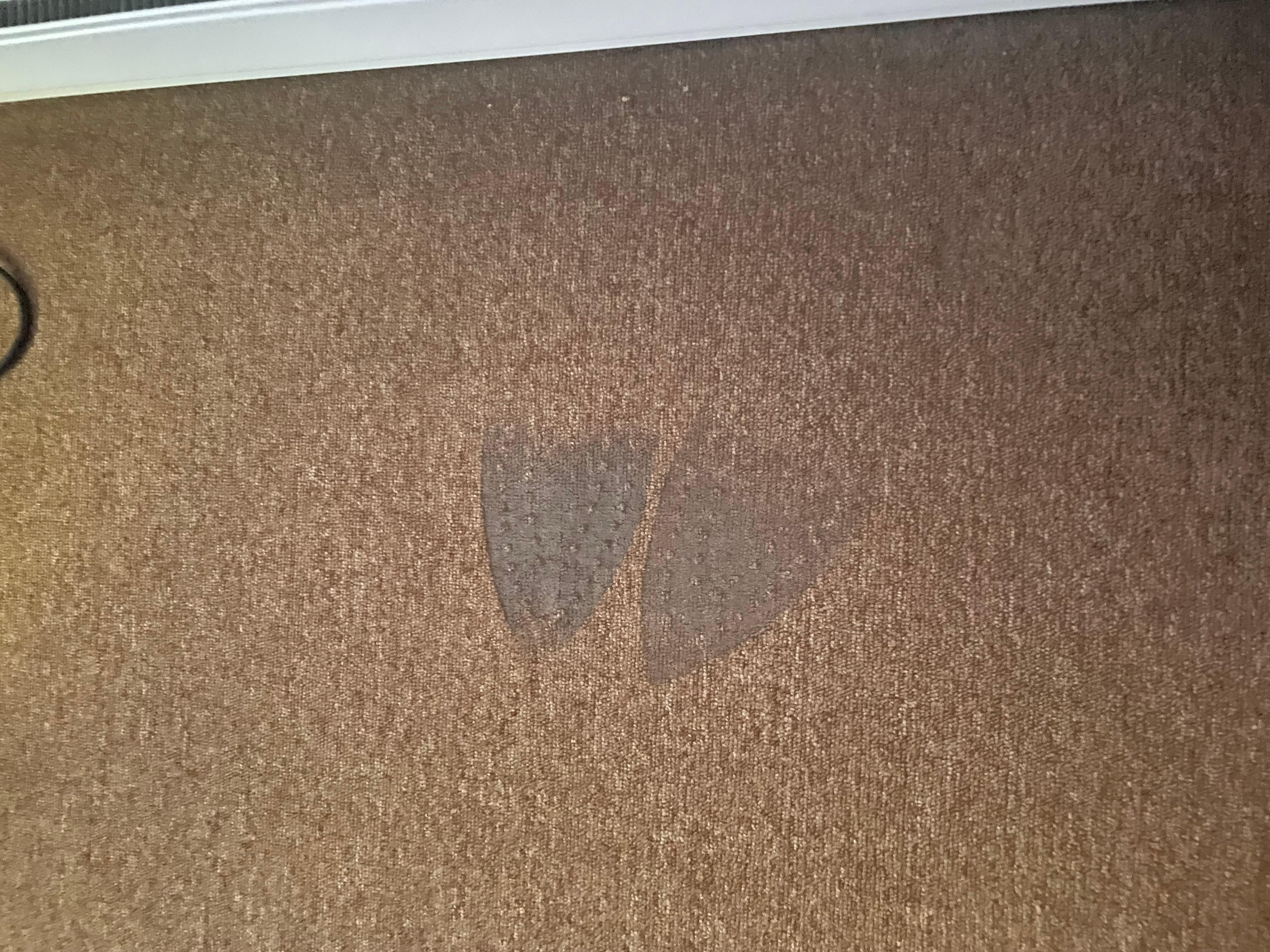 Bedroom carpet