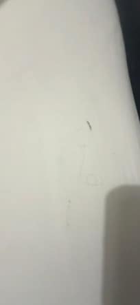 les cheveux dans le lit