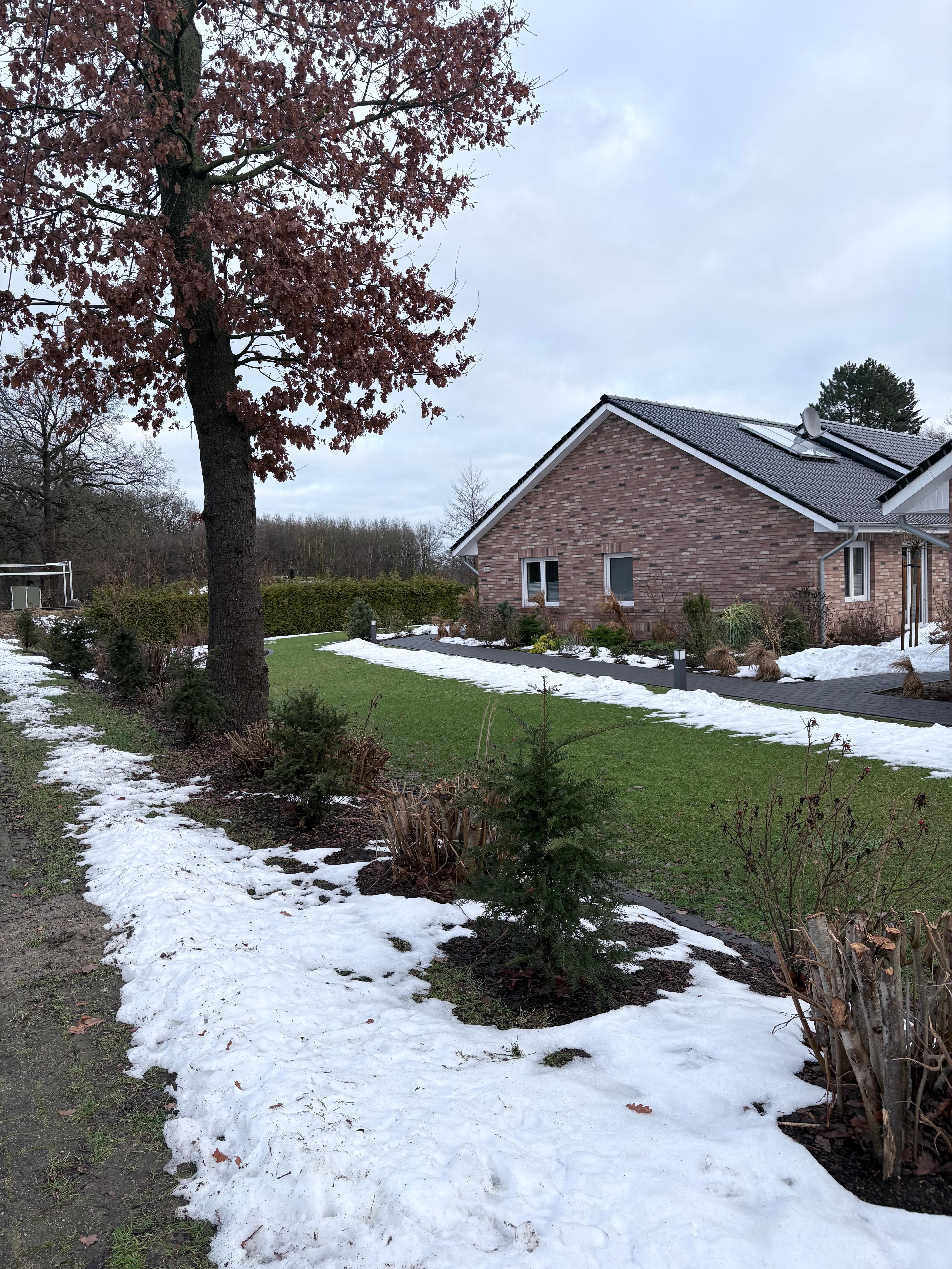 Aber auch schnell wieder etwas Grün..