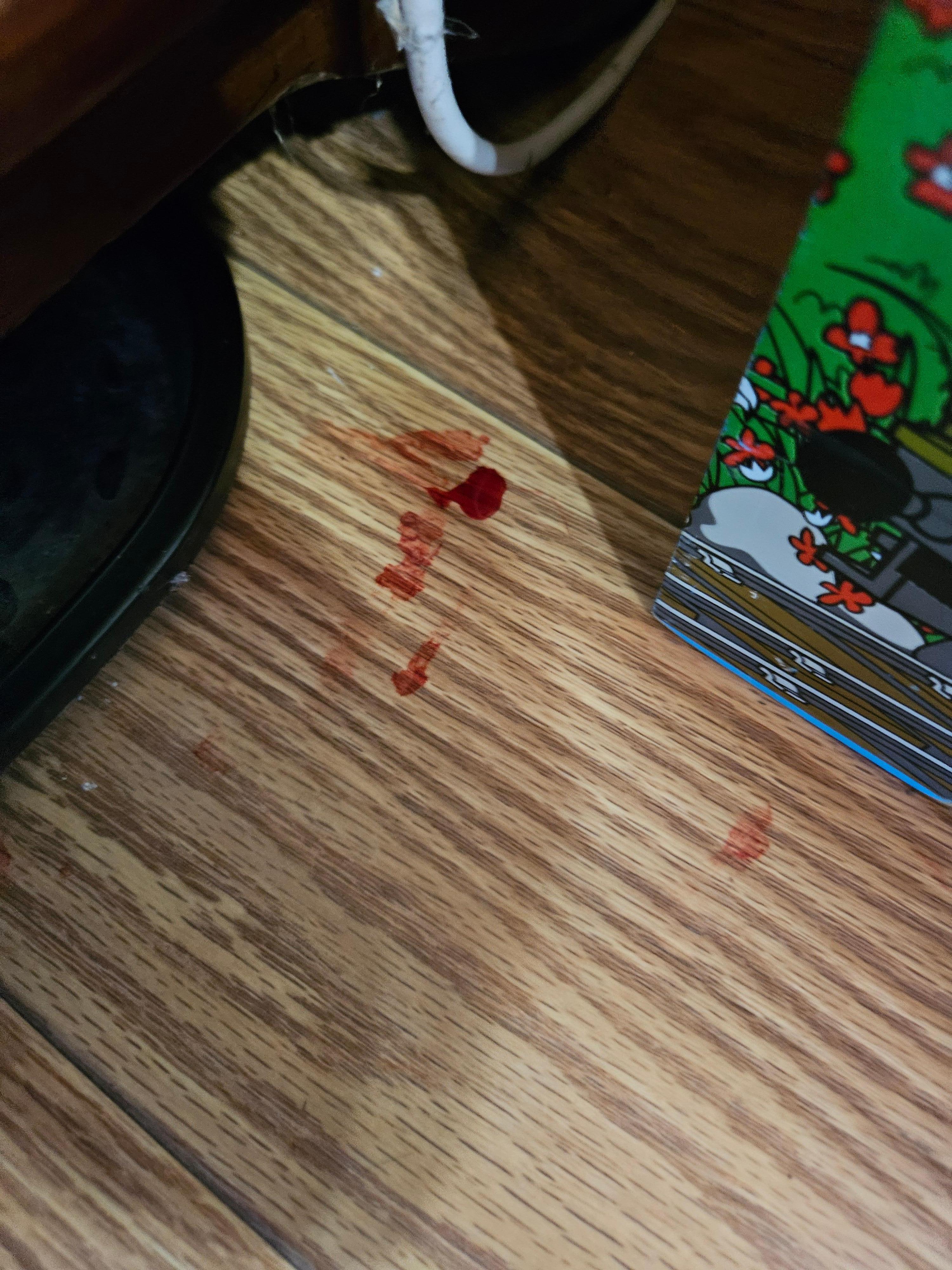 Dead Mouse Dead Zone