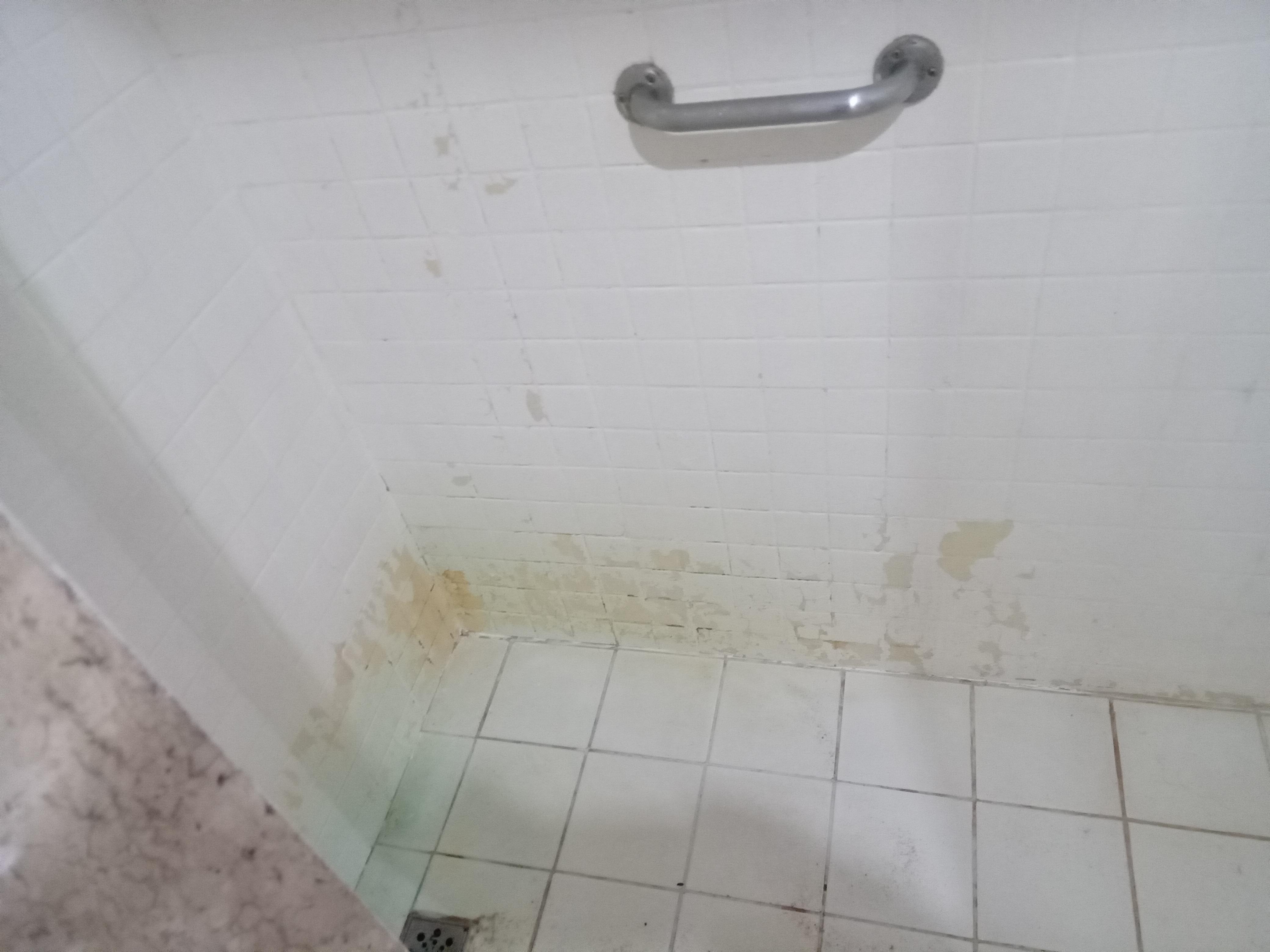 Banheiro com vazamento e muito mofo.