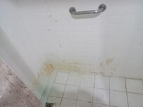 Banheiro com vazamento e muito mofo.