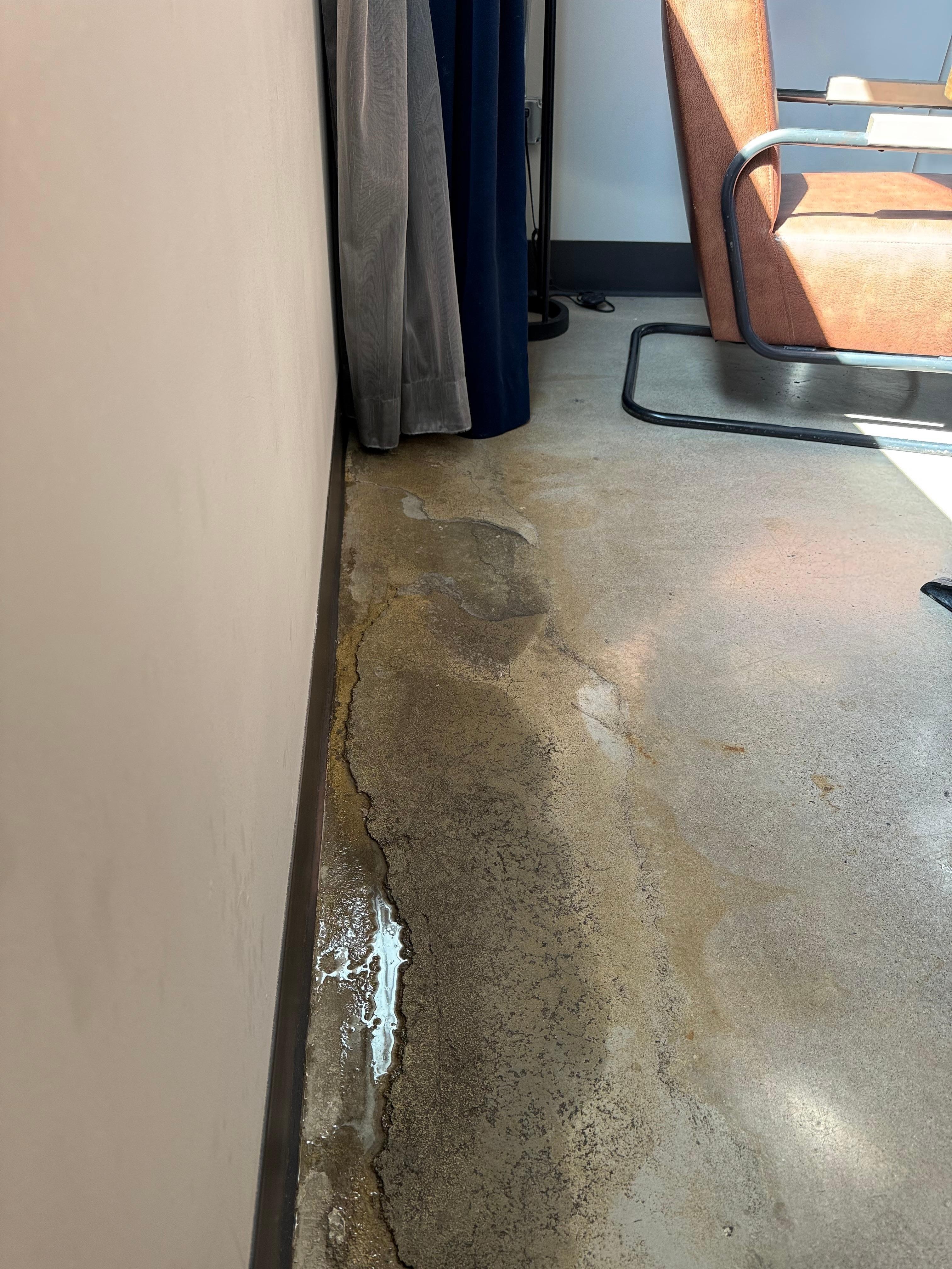 On a dry day, moments after drying the floor it’s wet again 