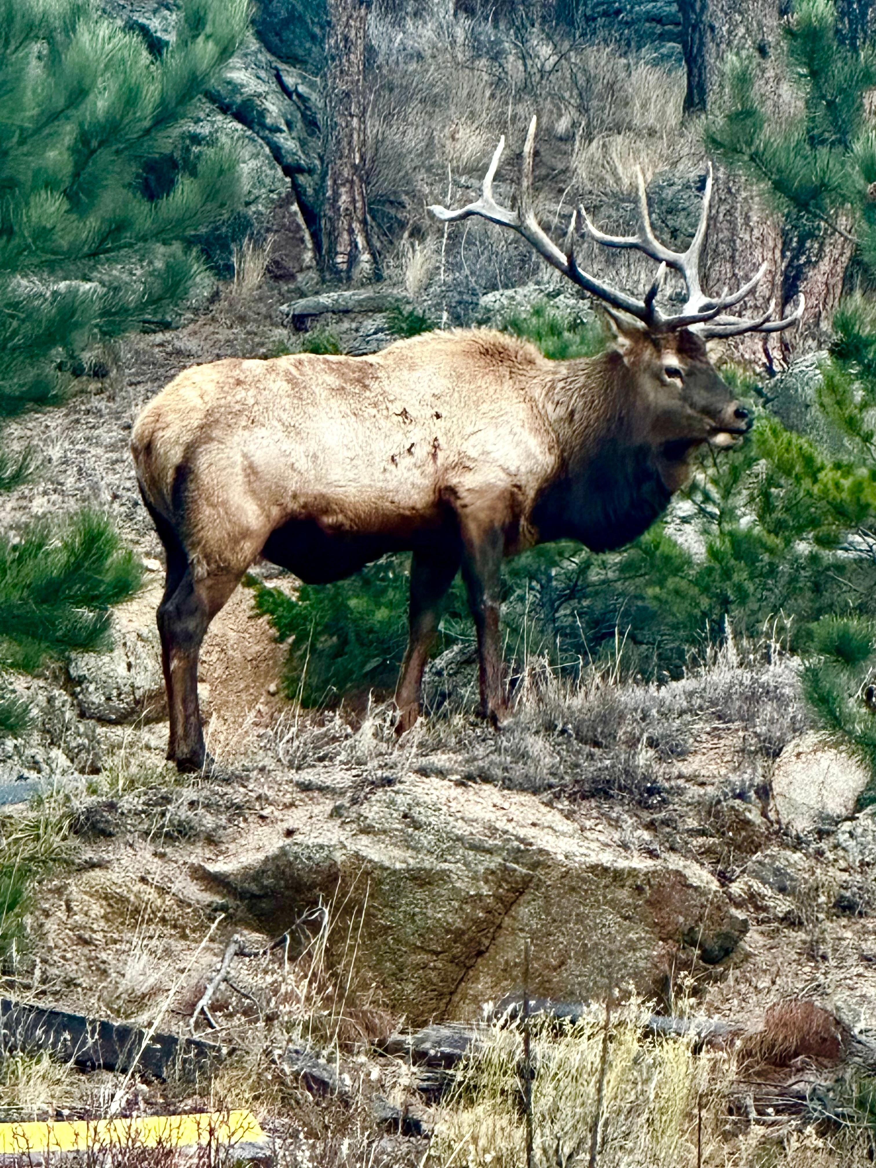 Across the street eating 