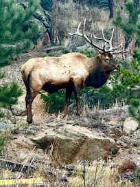 Across the street eating