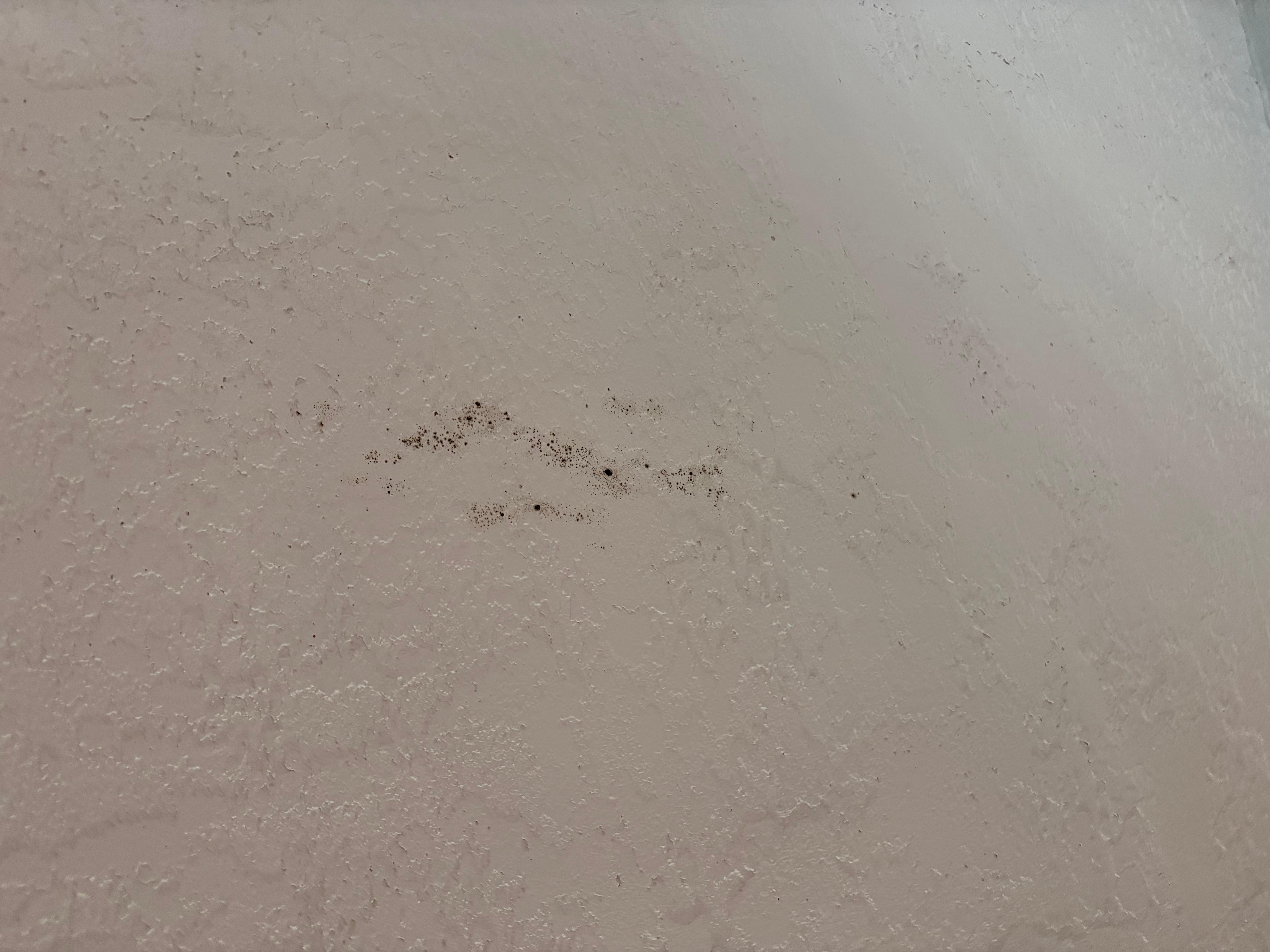 Mold on ceiling room 316