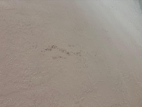 Mold on ceiling room 316