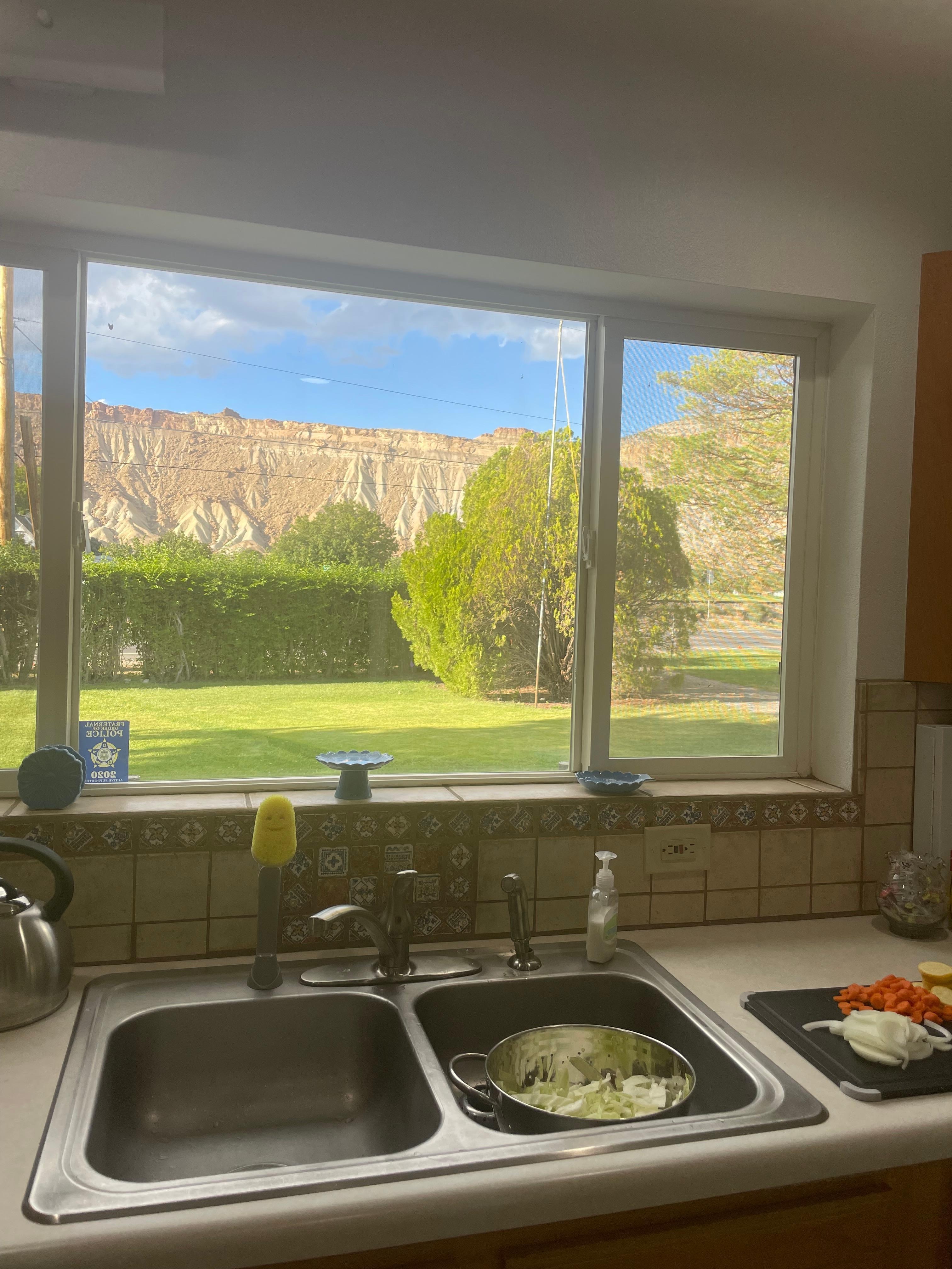 View from the large kitchen window