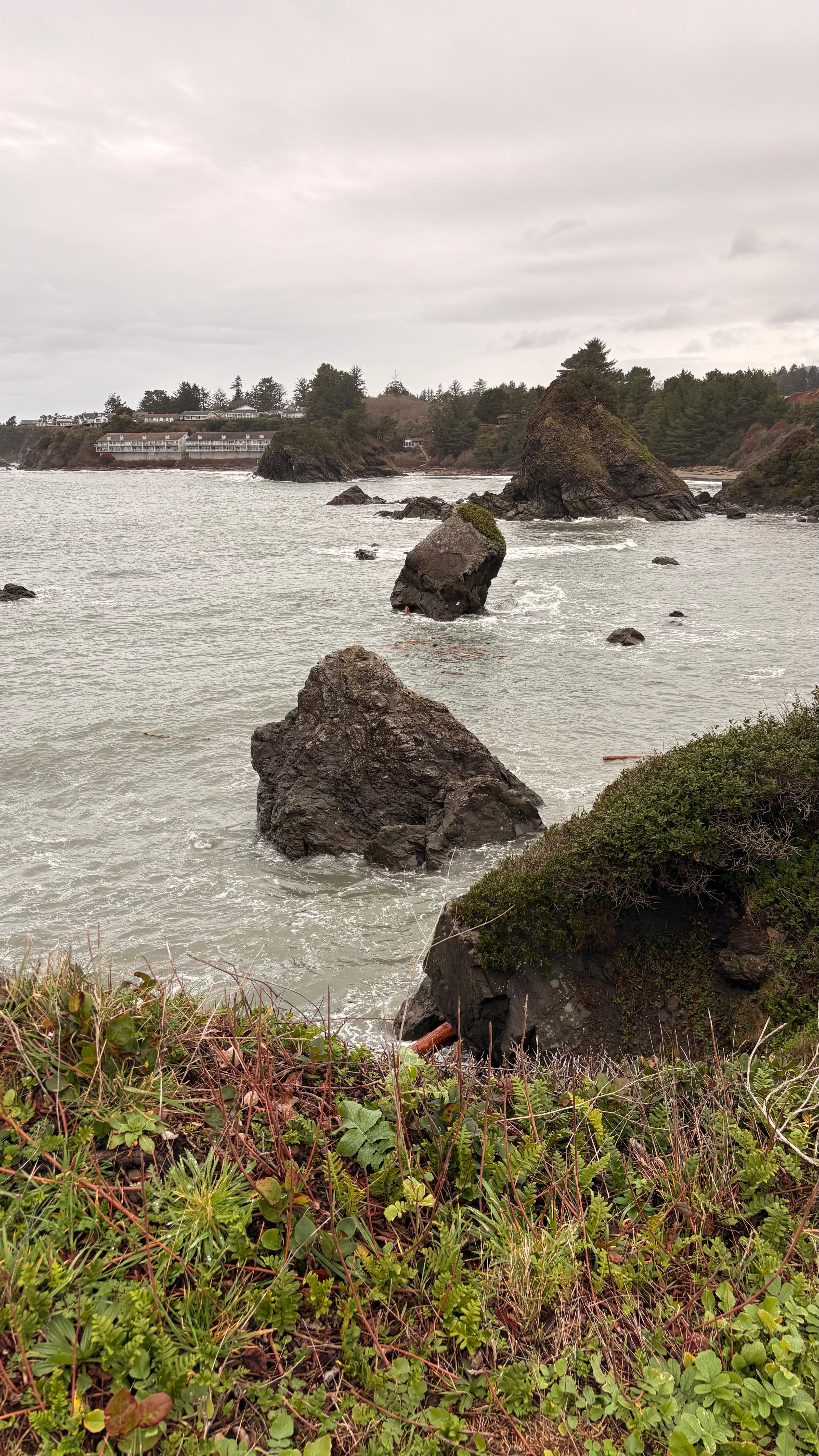 Beautiful king tide!