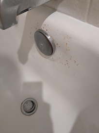Rust and mold in bathtub