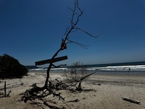 Direct beach access steps from hotel