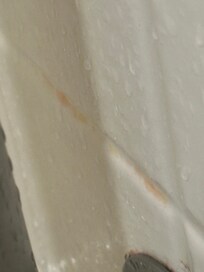 Reddish mold in shower
Several pics in shower
Can only post 8