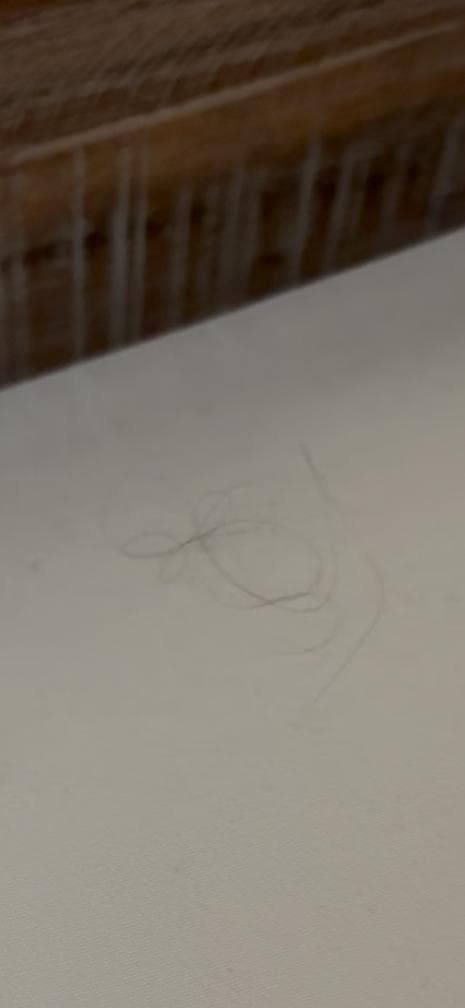 Hair on bed sheets