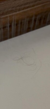 Hair on bed sheets
