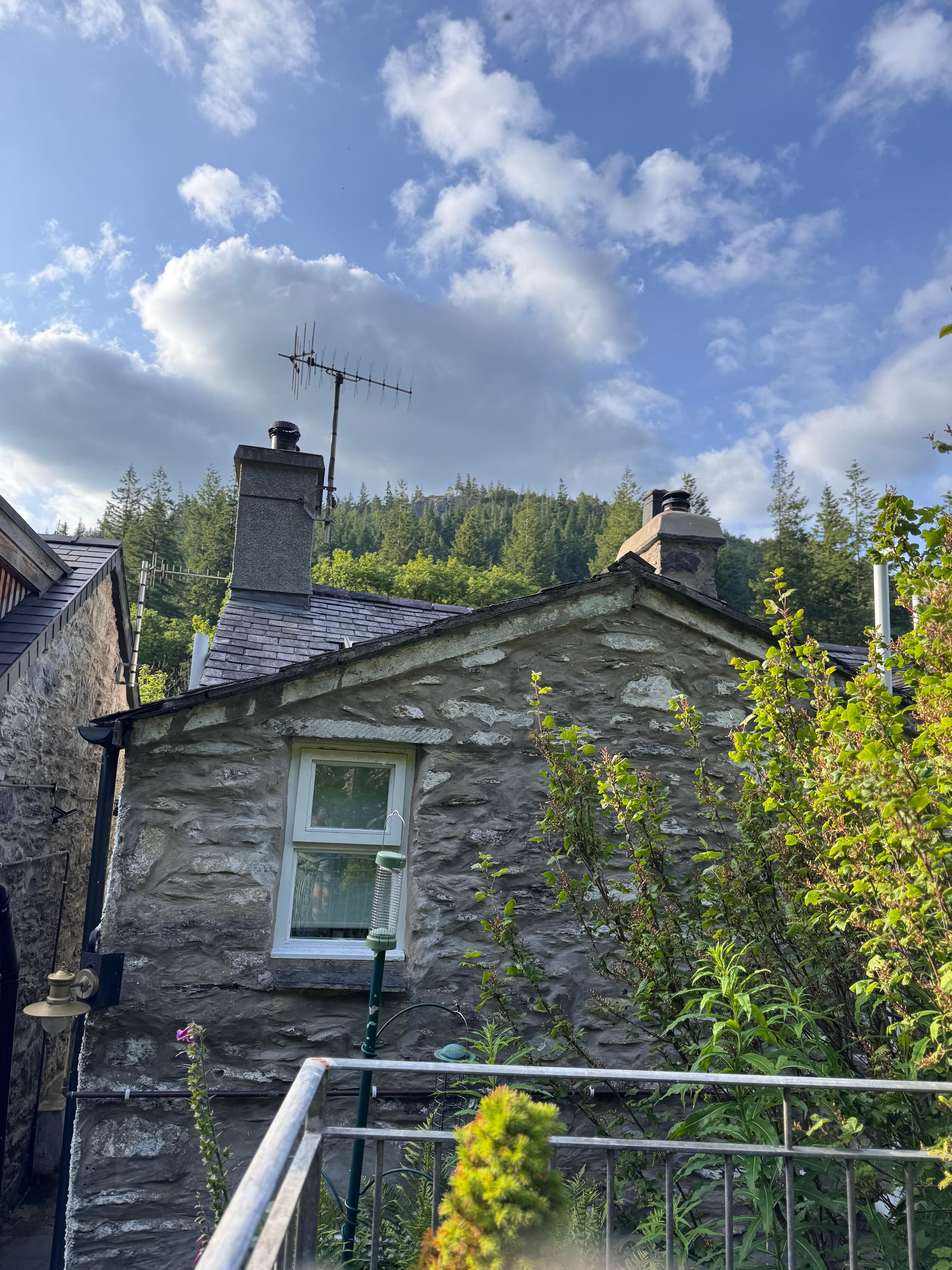 View from the back garden facing towards the road 