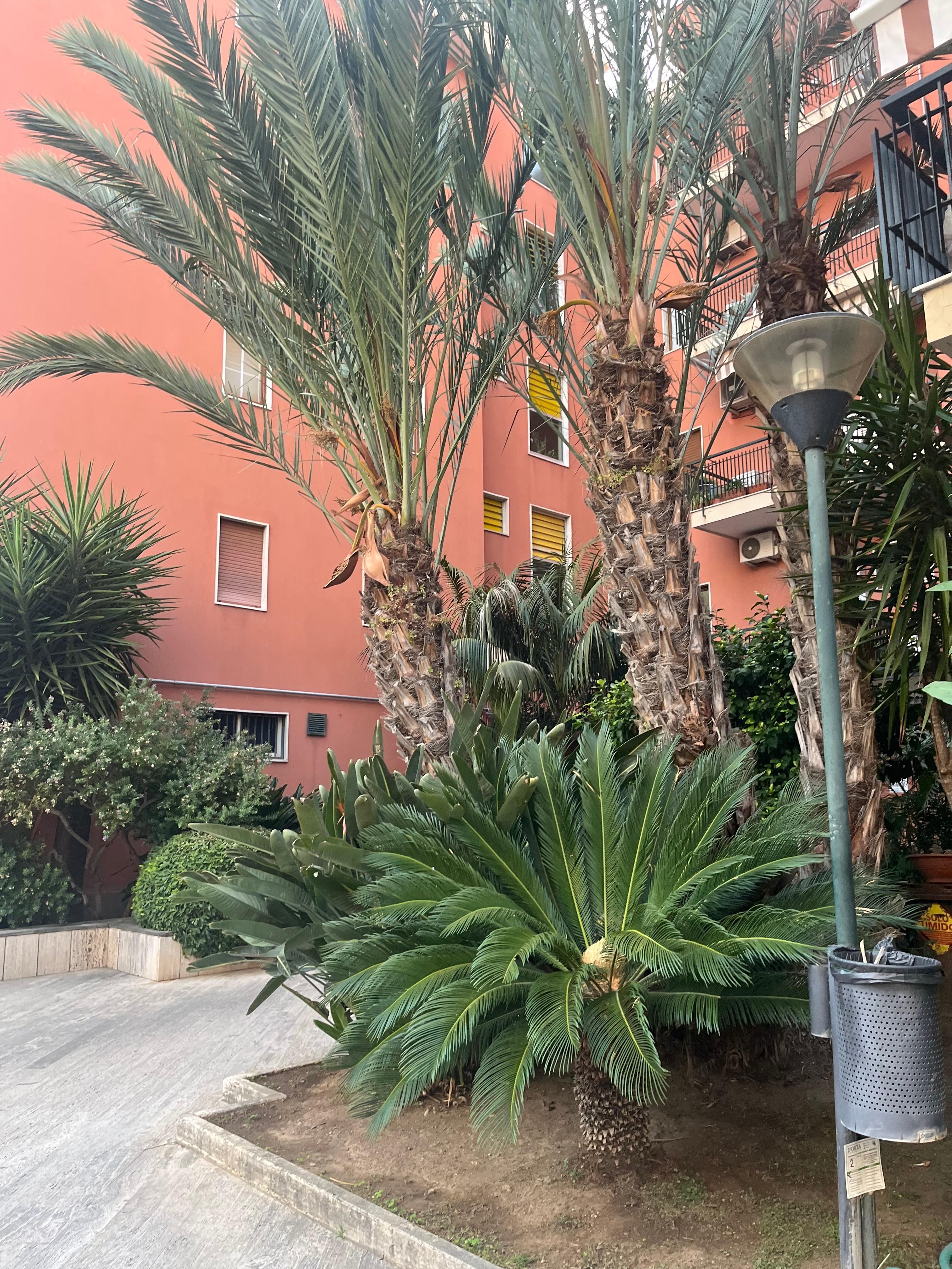 Courtyard to building 
