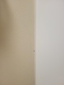 Cockroaches in bathroom