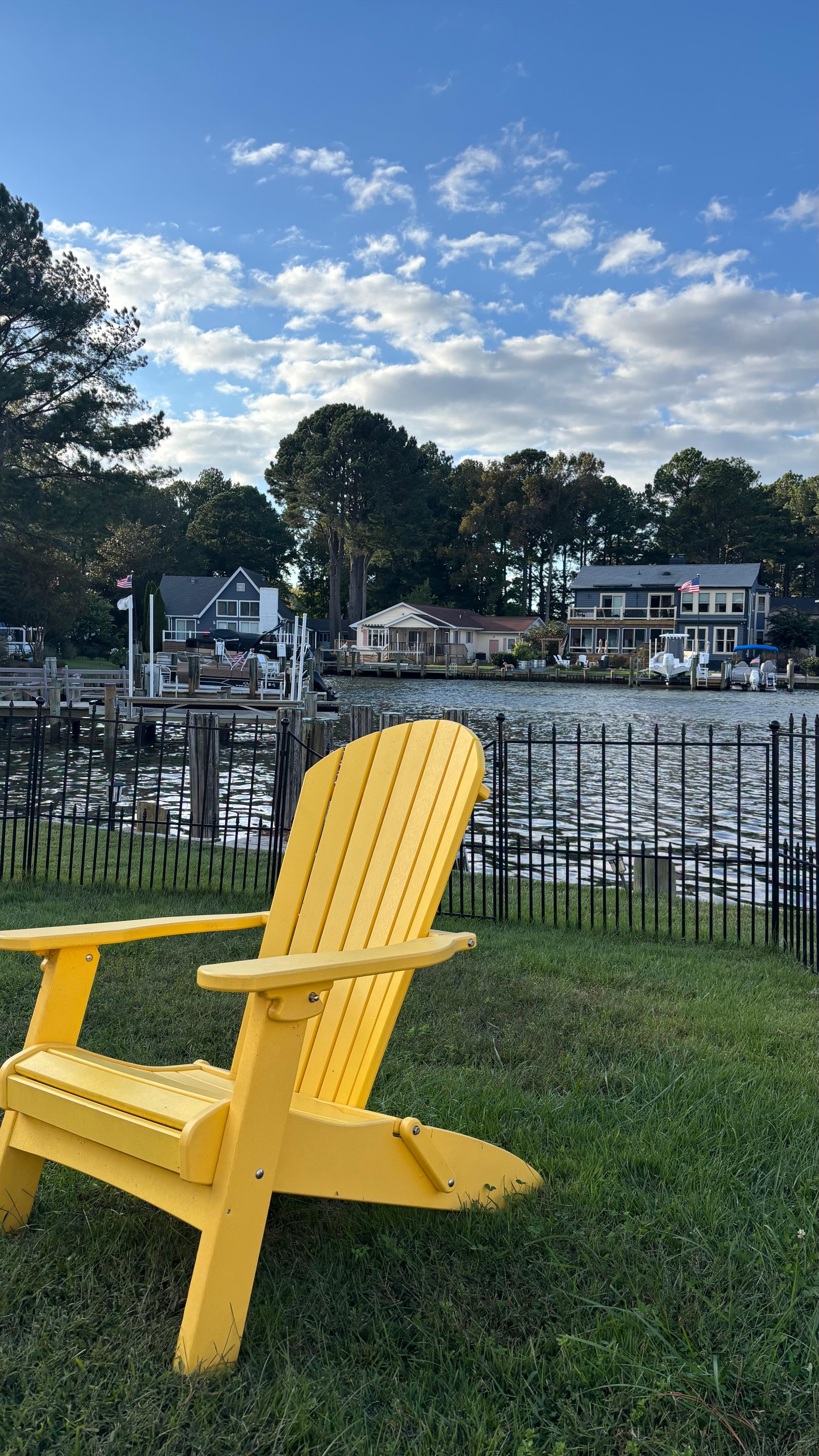 Back yard morning view 