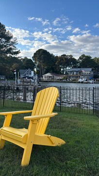 Back yard morning view