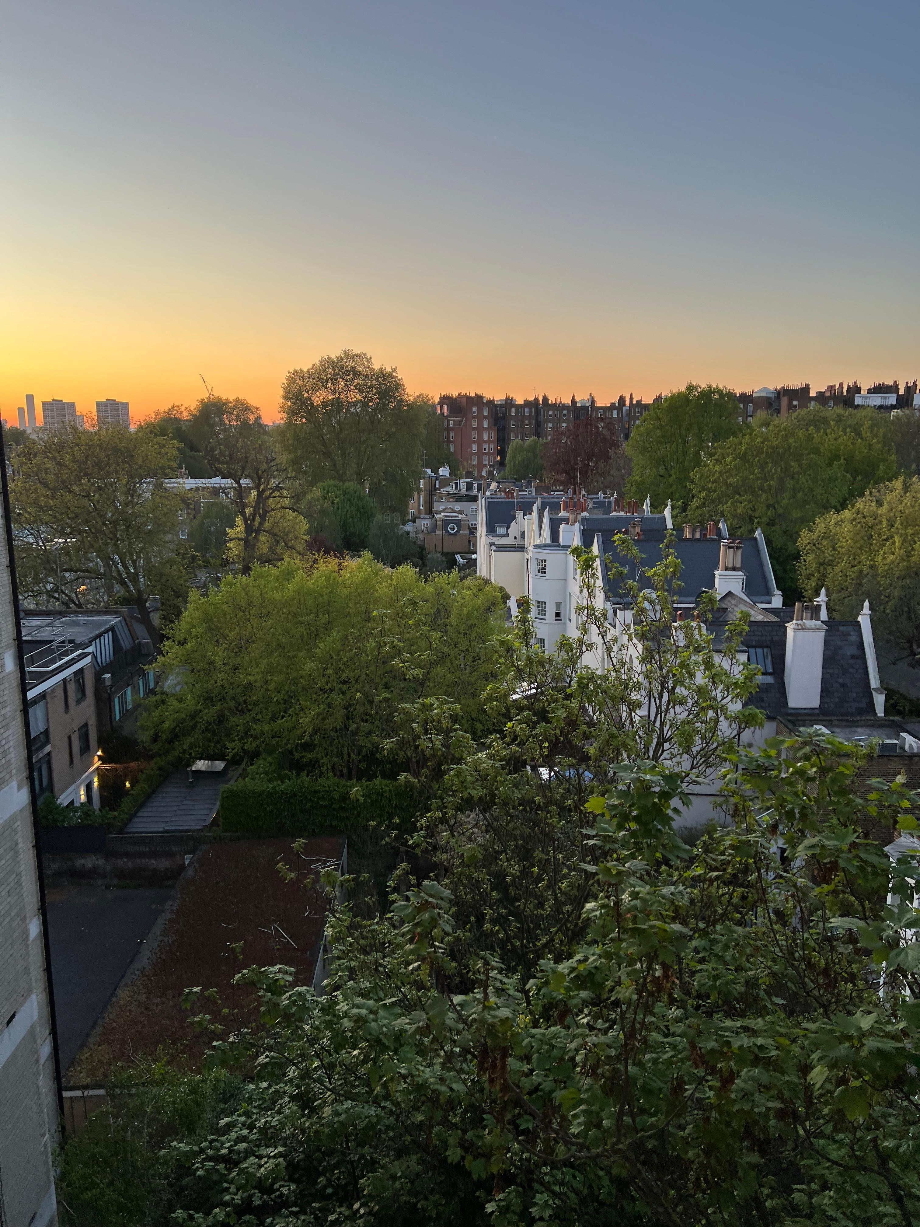View from living room 