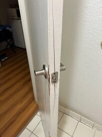 Split door on toilet