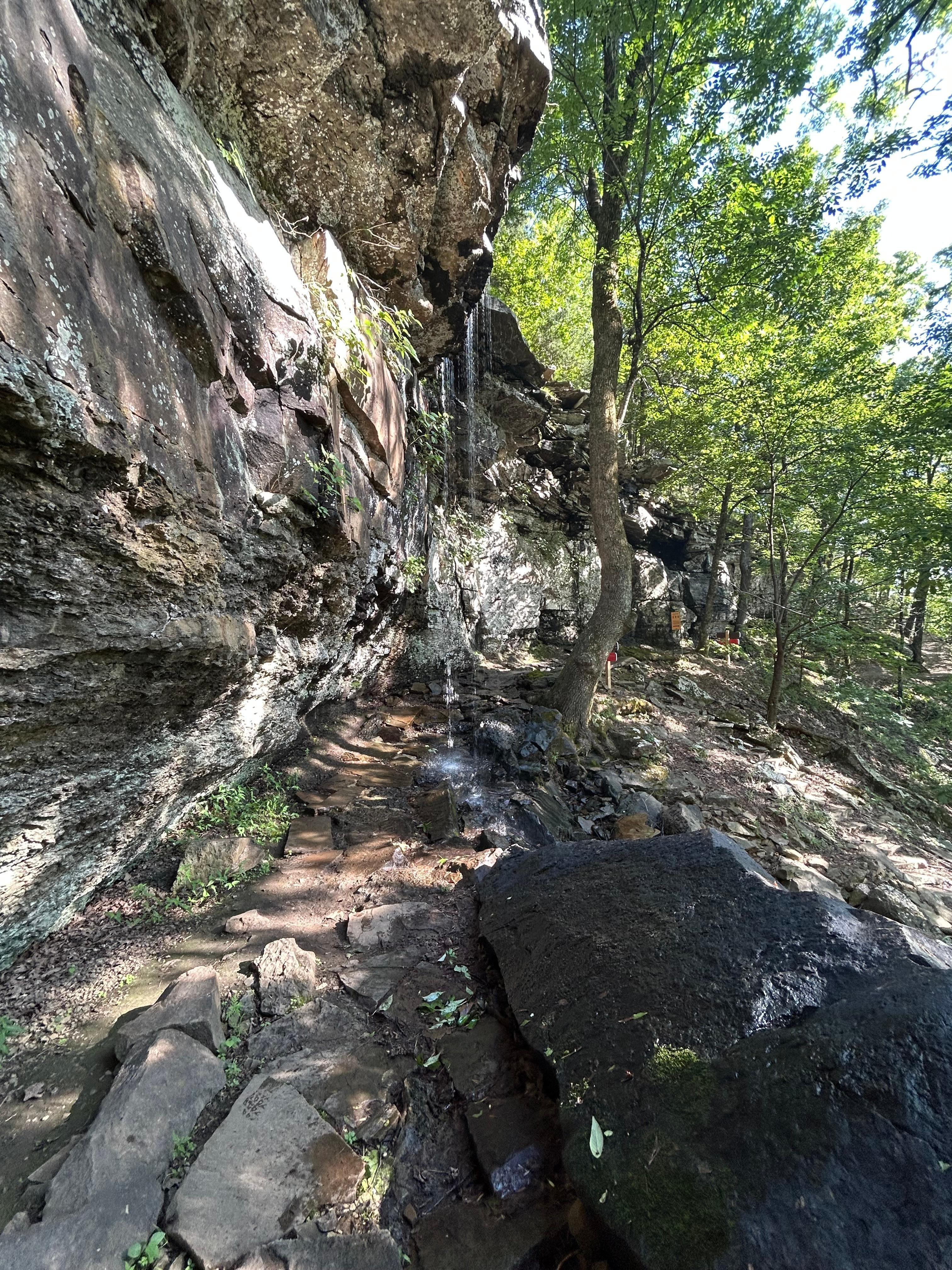 Nearby Mt. Nebo State Park