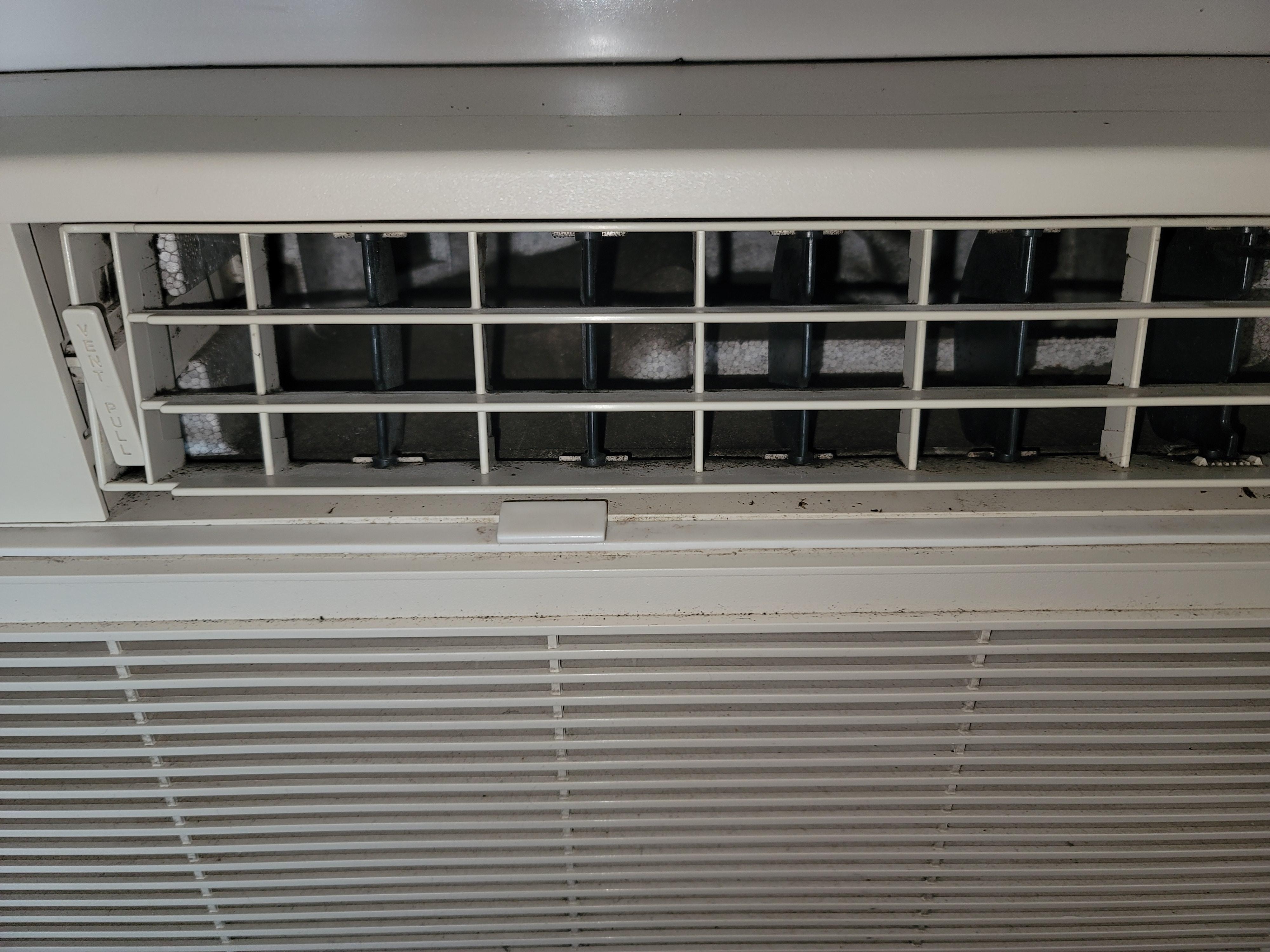 Mold in AC