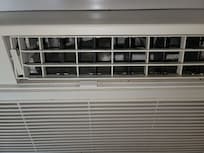 Mold in AC