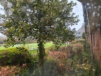 Wet but still beautiful spot