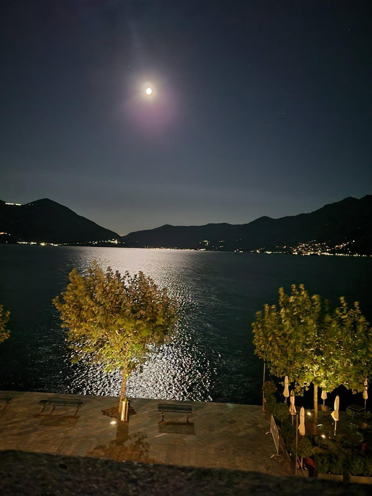 View of the lake from the room 