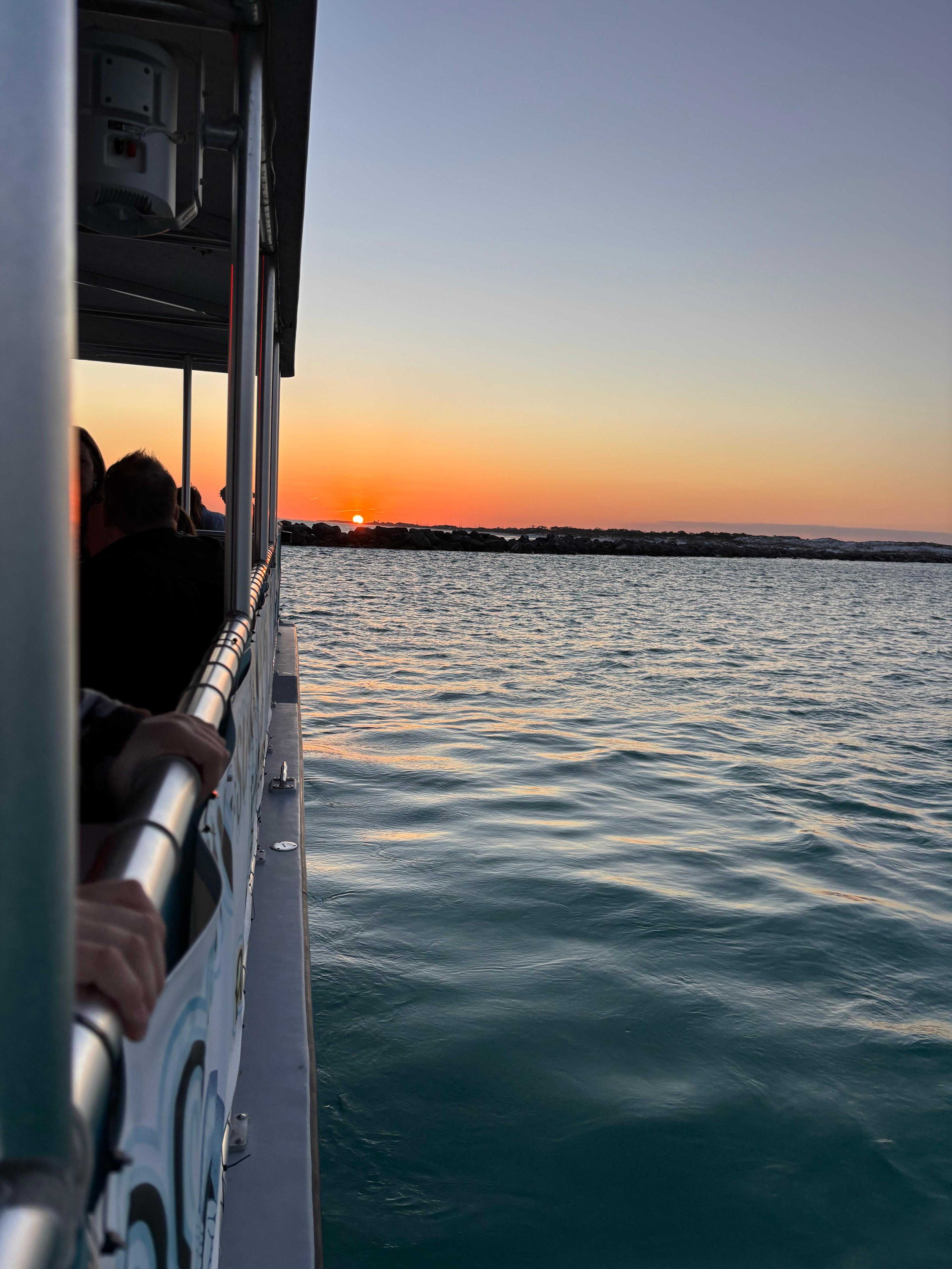 Bikkini Bottom dolphin cruise