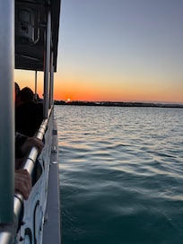 Bikkini Bottom dolphin cruise