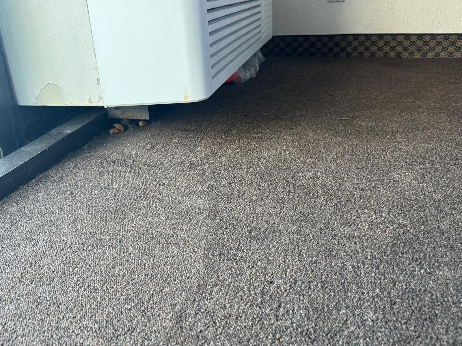 The odor and lack of cleanliness was horrible. 