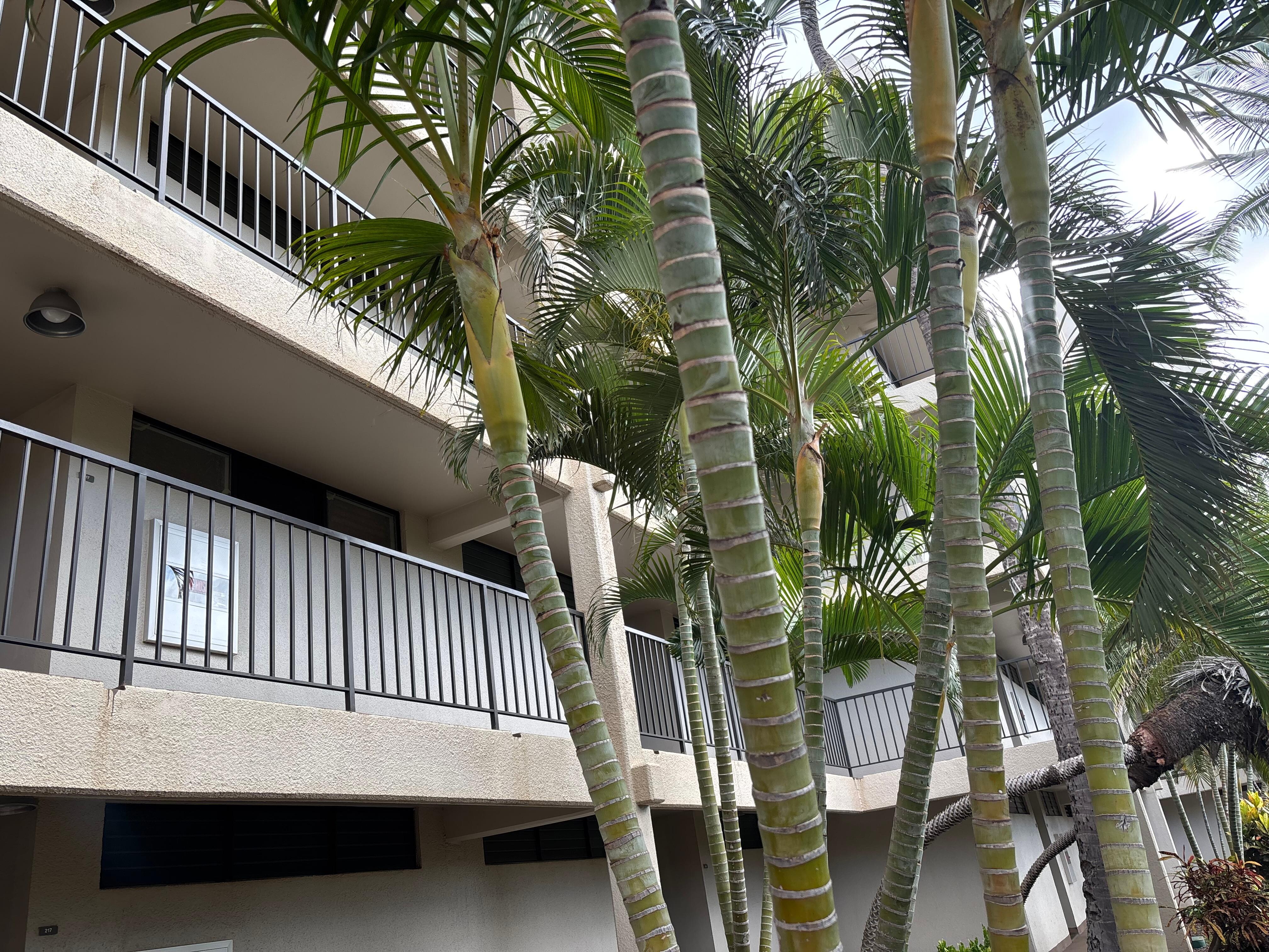 View from balcony