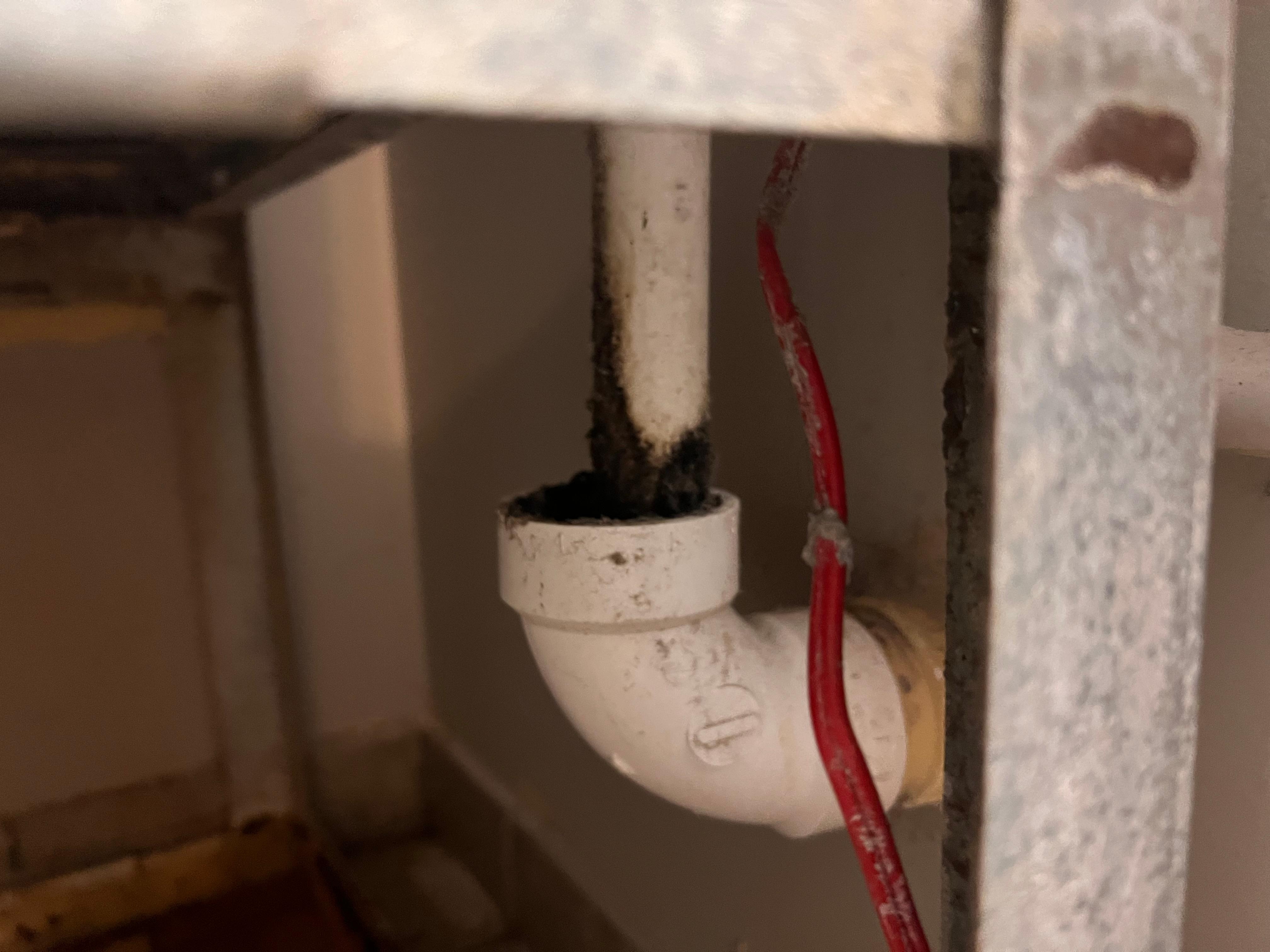 Black mold on ac pvc piping
