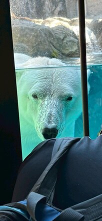 旭山動物園