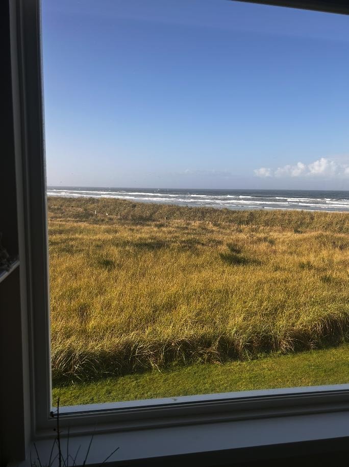 View from picture window in the living room.