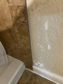Bathroom wall