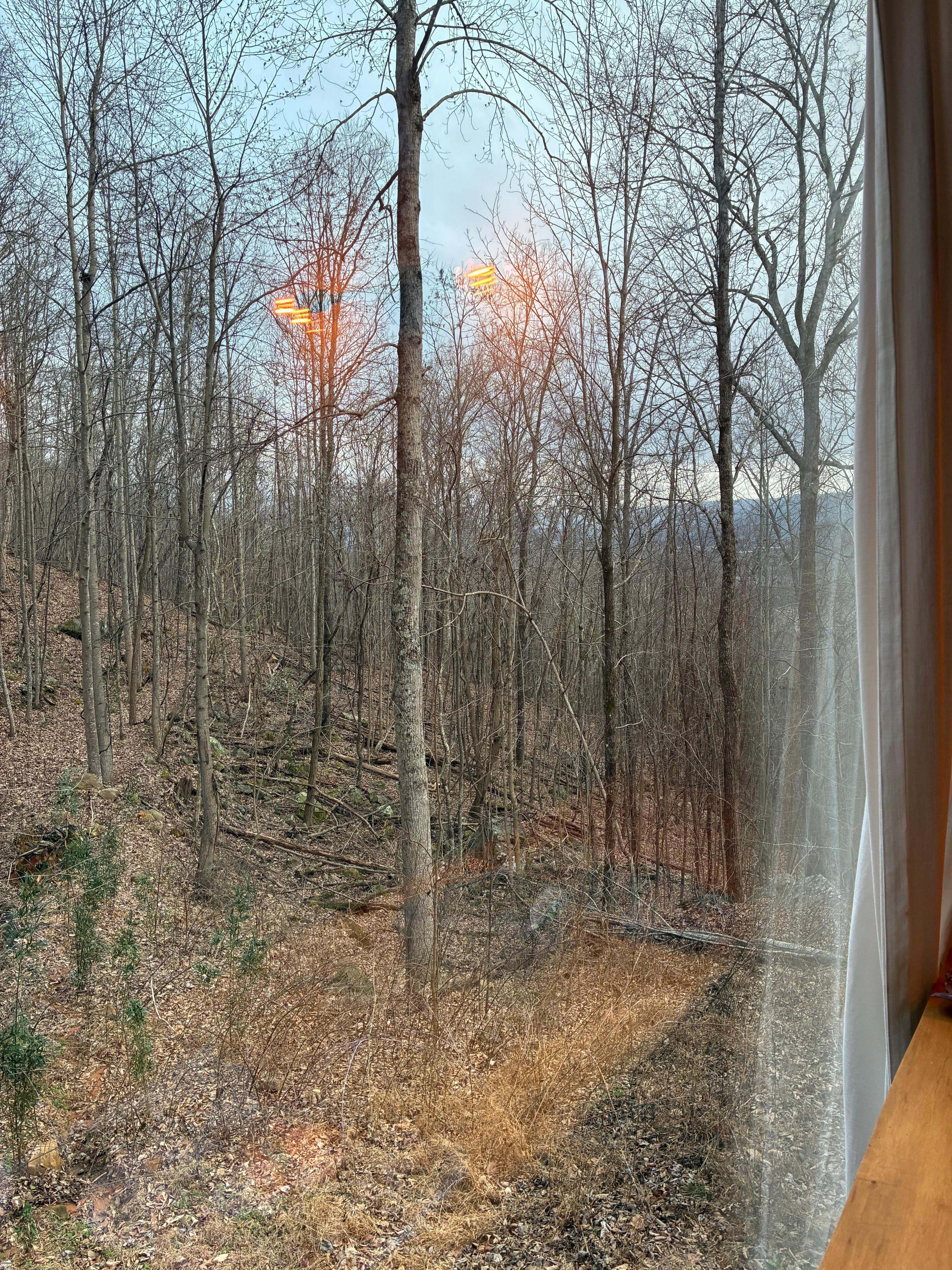 View from the wall of windows 