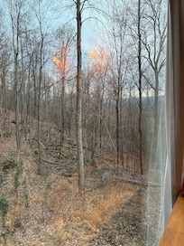 View from the wall of windows