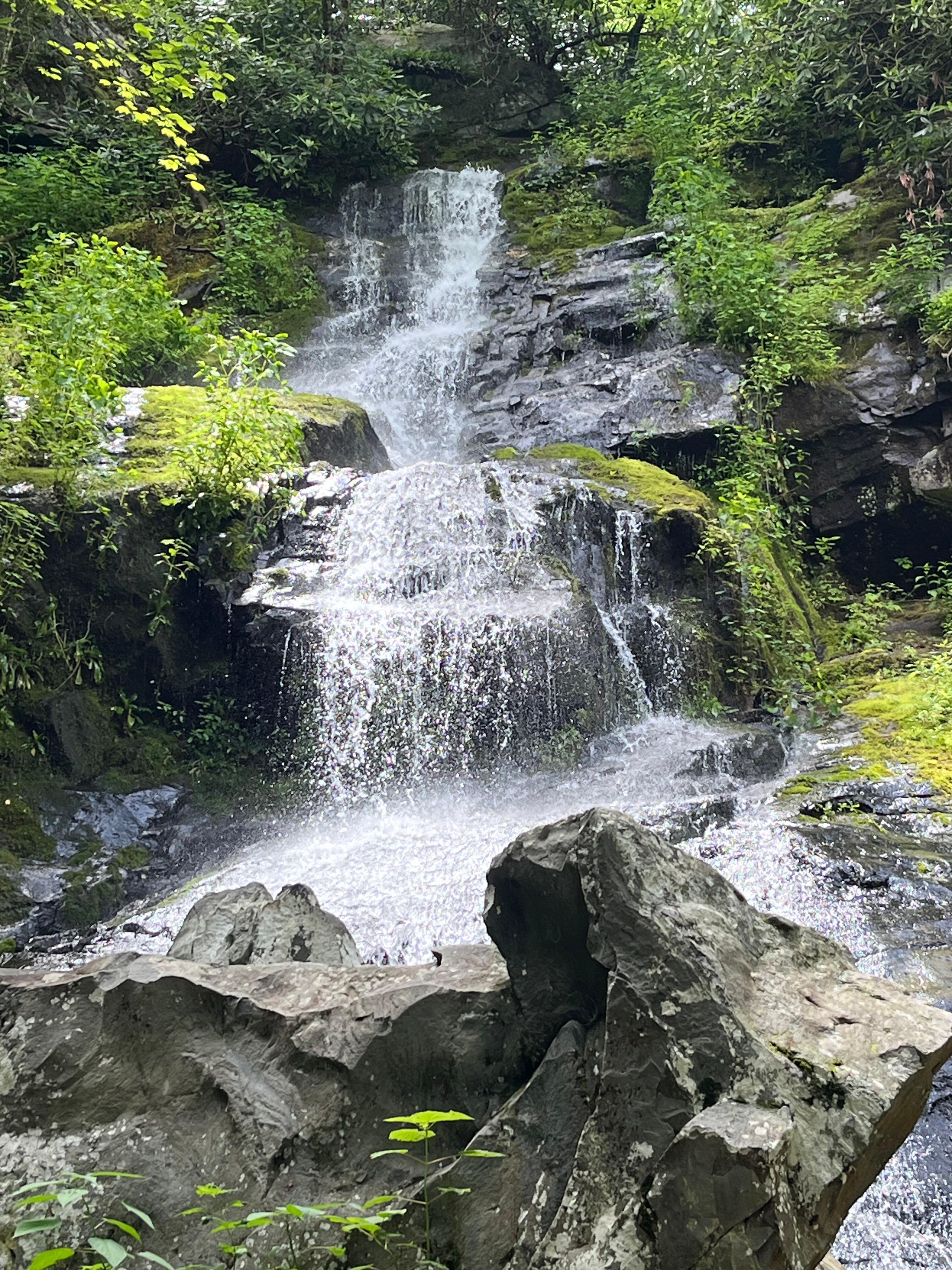 Hen Wallow Falls 