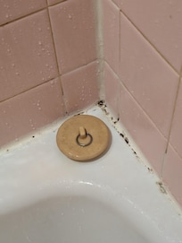 Black mold started around the top of the tub