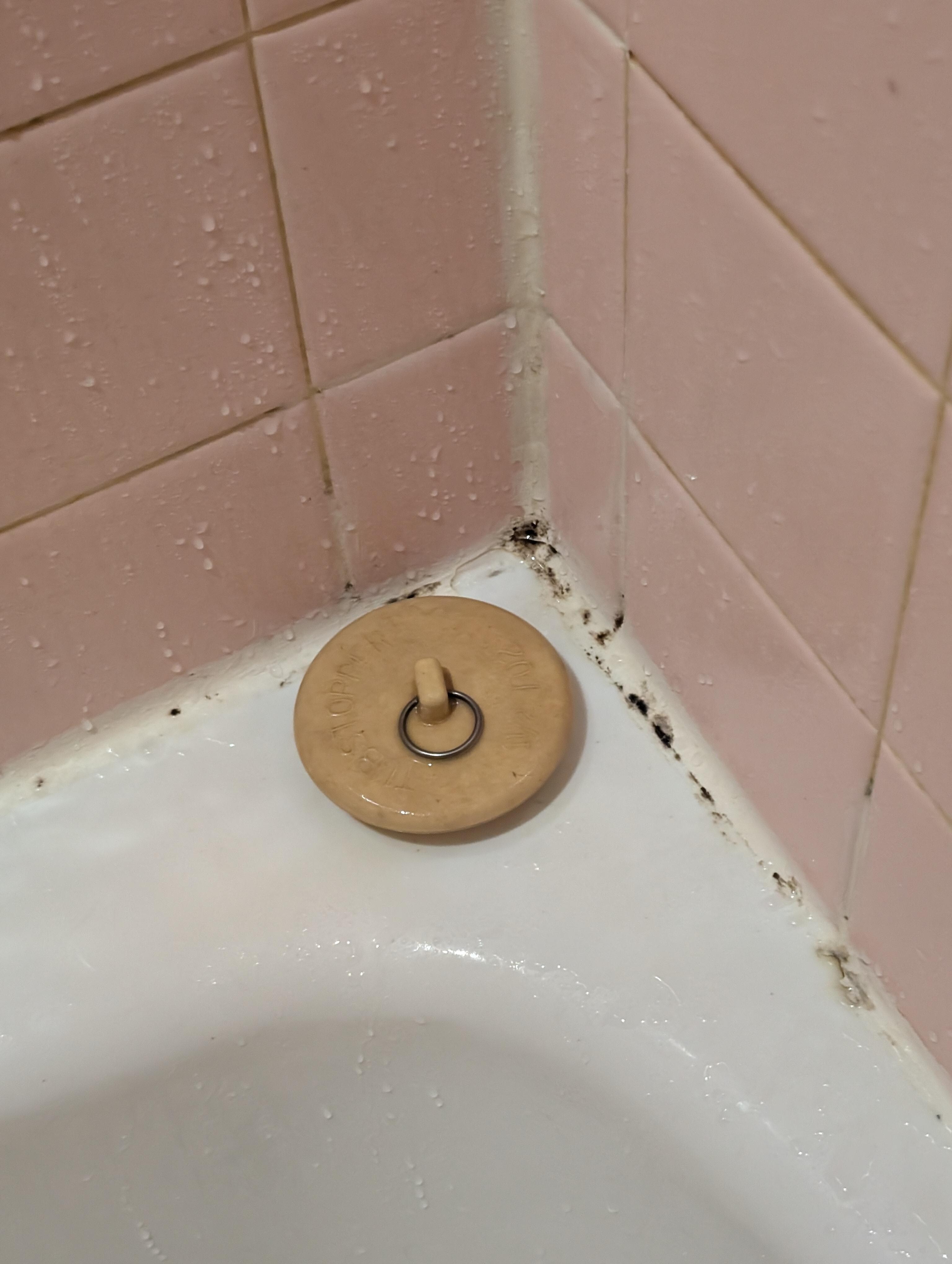 Black mold started around the top of the tub