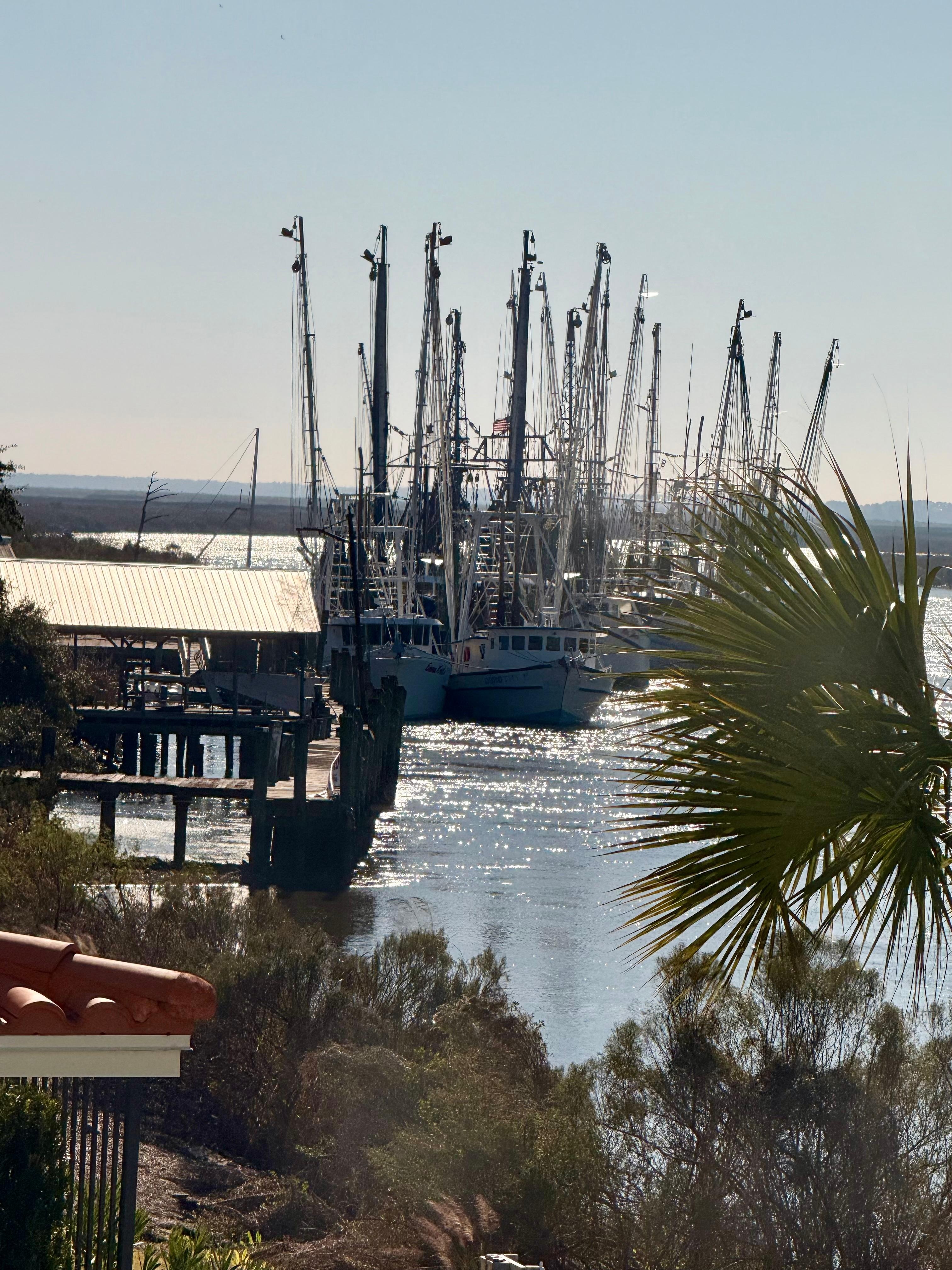 View from room & restaurant