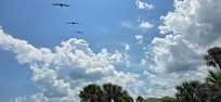 Amazing wildlife, just a short walk across the street to beach.