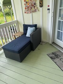 Silly lizards on the porch